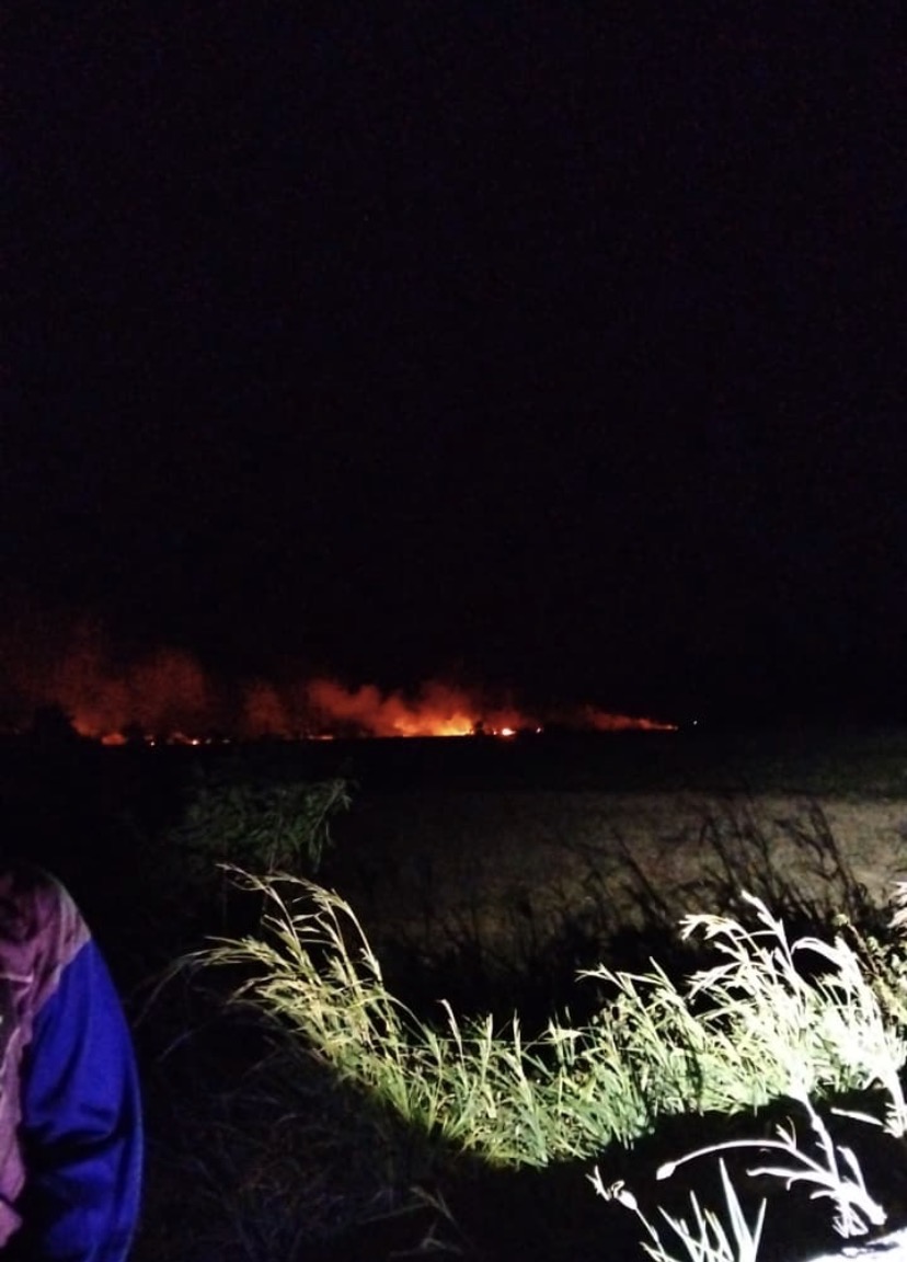 Kebakaran Melanda Beberapa Kebun Warga di Desa Lalow Akses Bandar Udara Loloda